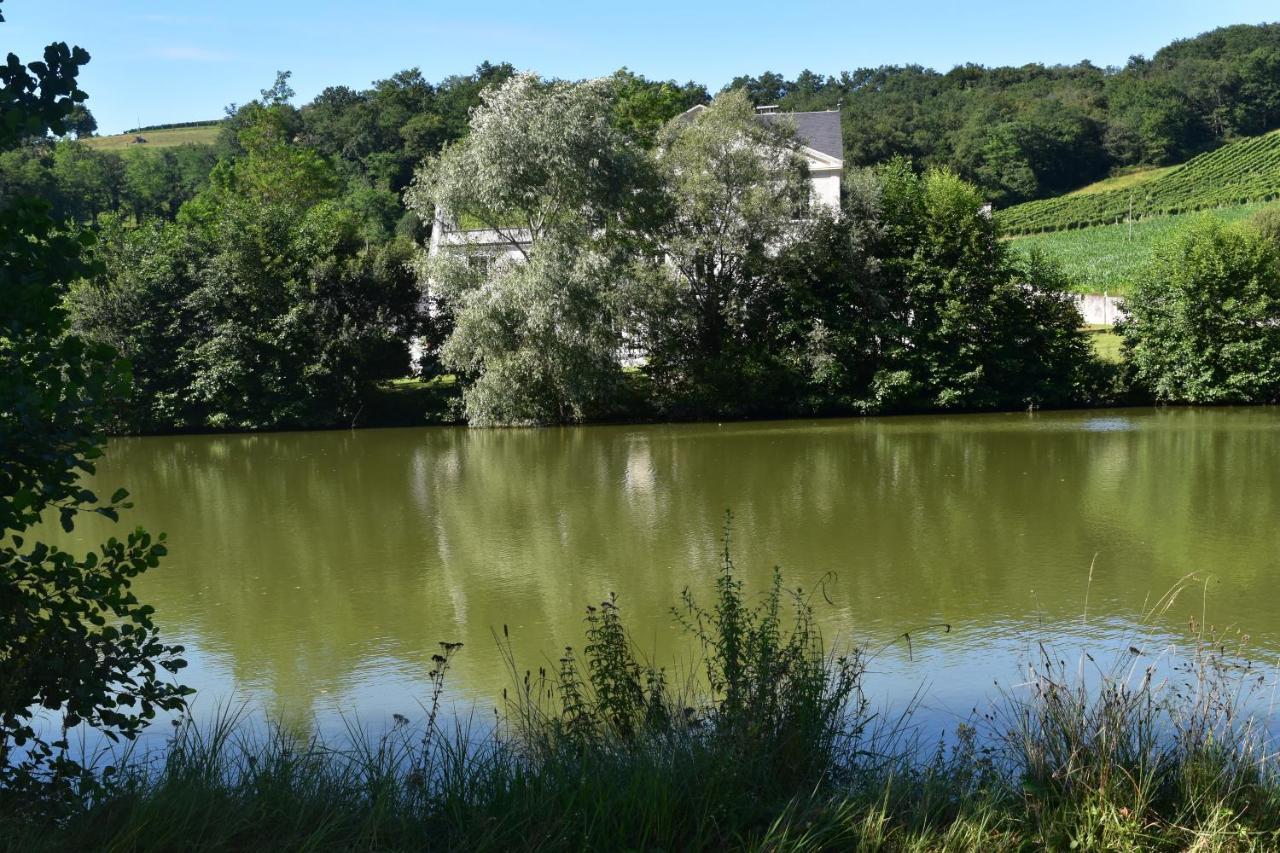 Chateau Roquehort Avec Ev Recharge Point 22Kw Monein Exteriör bild