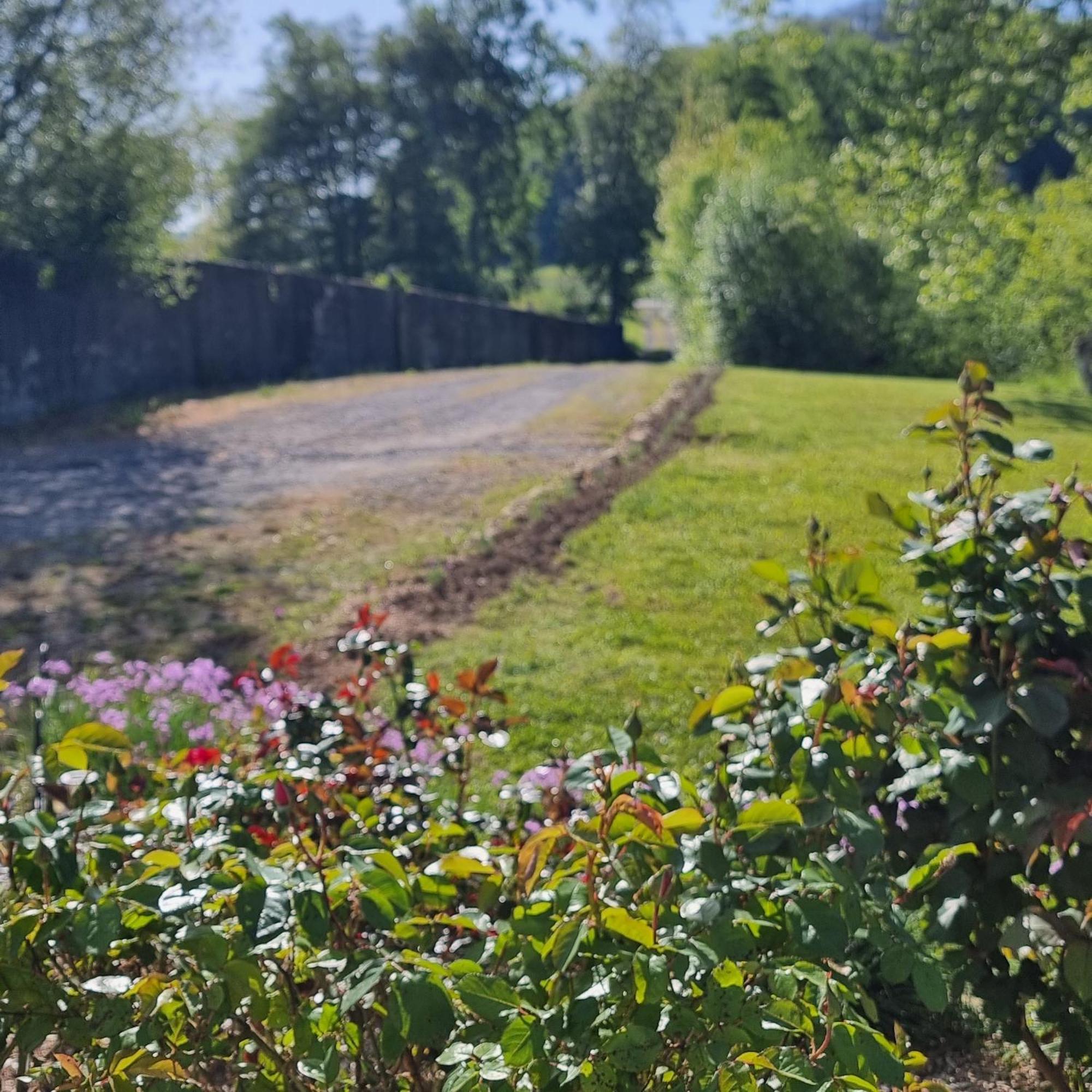 Chateau Roquehort Avec Ev Recharge Point 22Kw Monein Exteriör bild